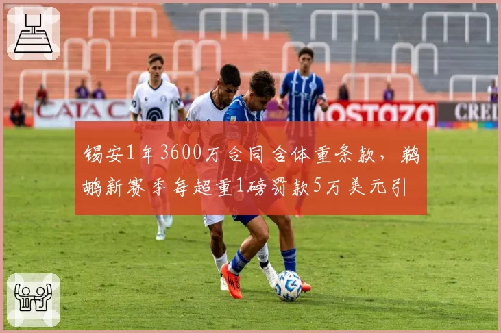 锡安1年3600万合同含体重条款,鹈鹕新赛季每超重1磅罚款5万美元引热议