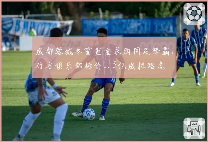 成都蓉城冬窗重金求购国足锋霸，对方俱乐部标价1.5亿成拦路虎