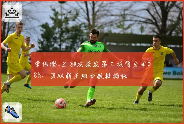 梁伟铿_王昶发接发第三板得分率58%,男双新王组合数据揭秘