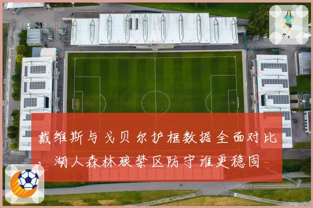 戴维斯与戈贝尔护框数据全面对比，湖人森林狼禁区防守谁更稳固