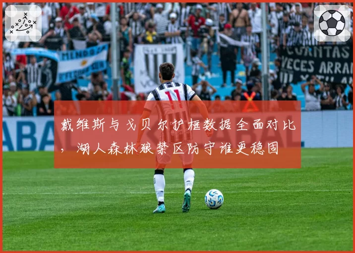 戴维斯与戈贝尔护框数据全面对比，湖人森林狼禁区防守谁更稳固